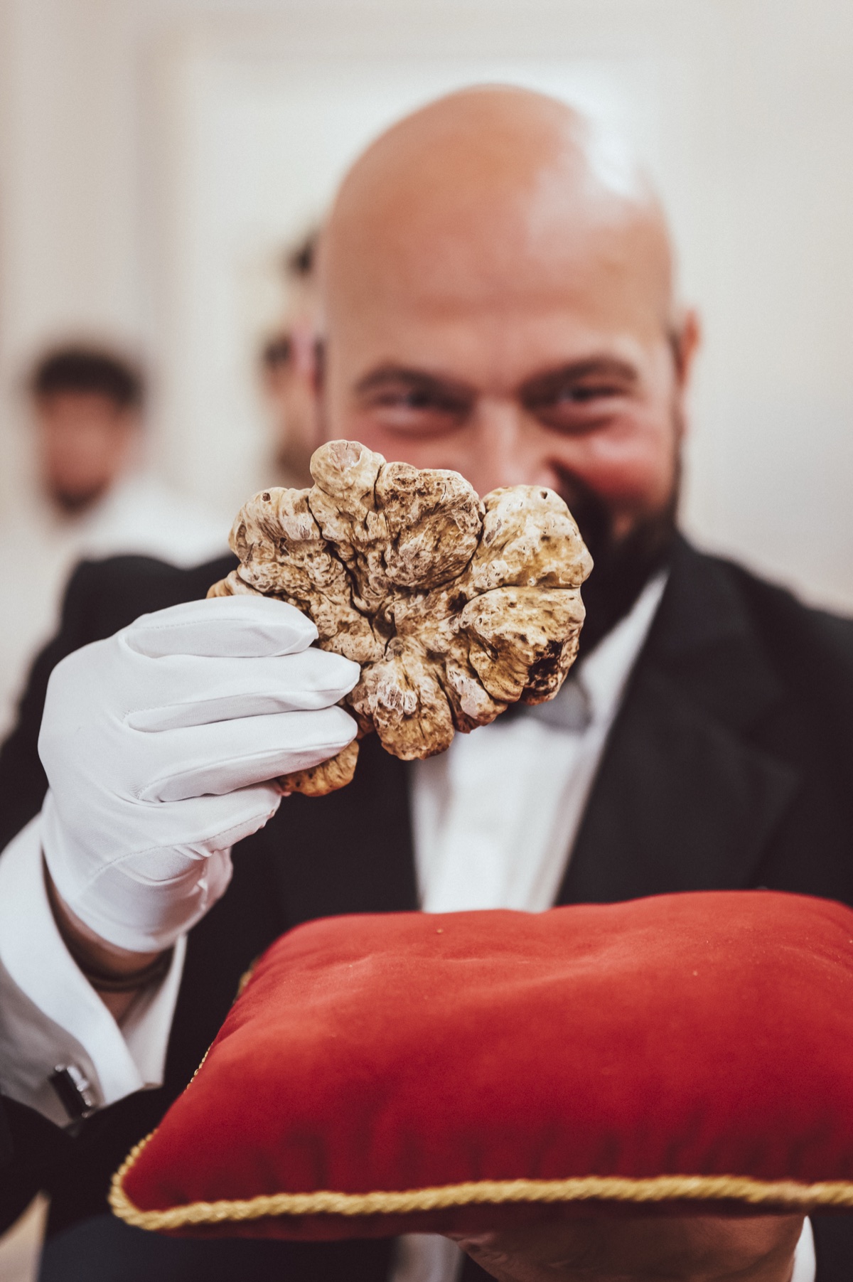 Daniele Violoni, Sommelier del Tartufo, presenta un Tartufo Bianco Pregiato sopra un cuscino di velluto rosso